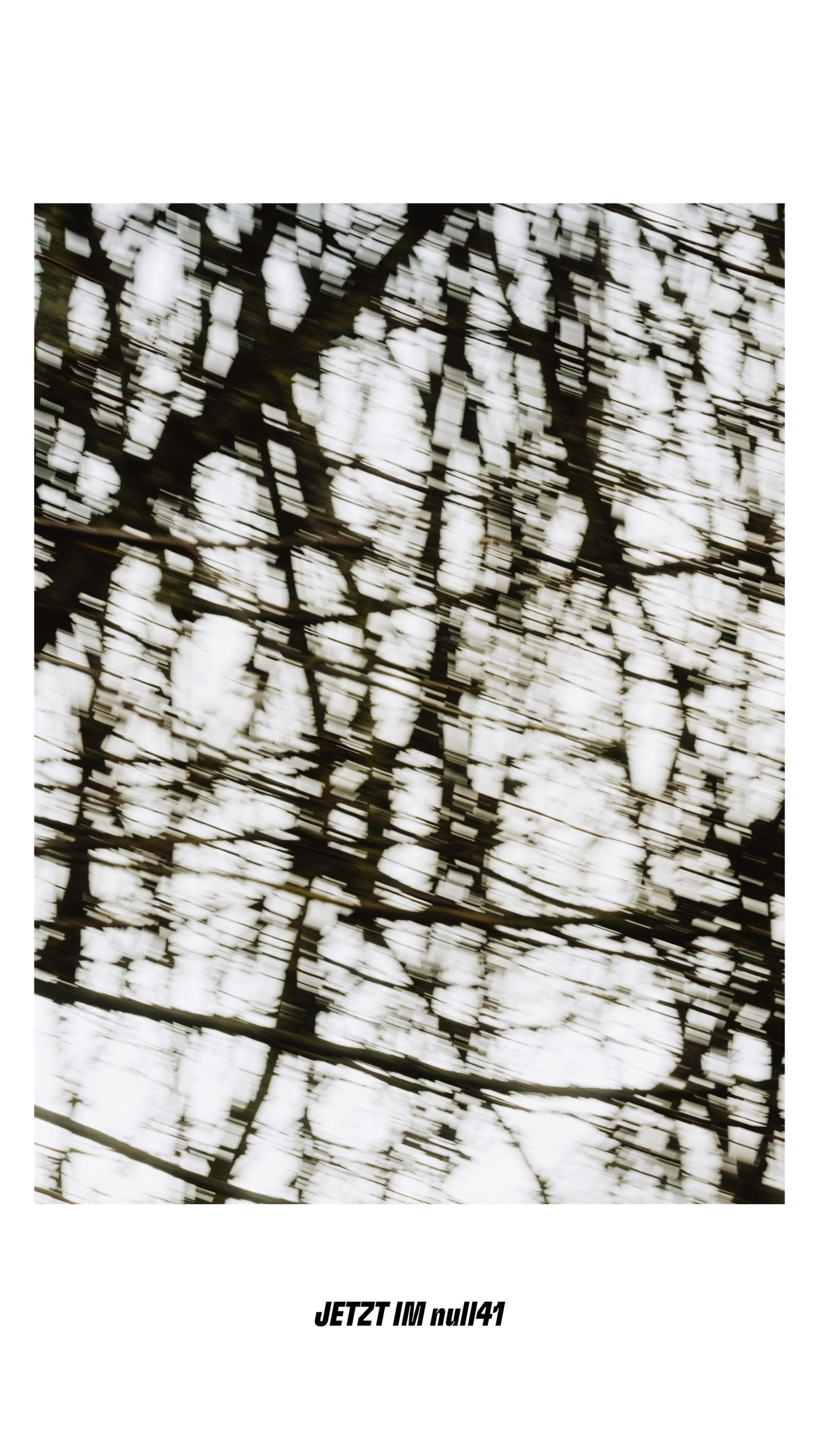 Teaser zum Text zu Raphael Loher